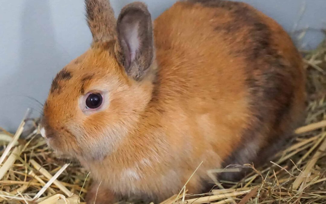 TQ_DB_82488