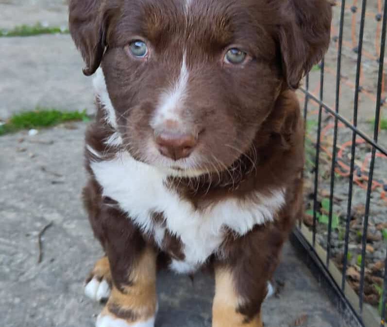TQ_DB_82801