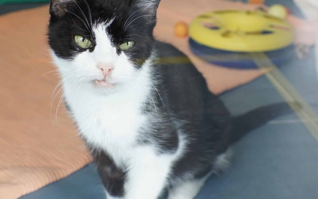 TQ_DB_82928