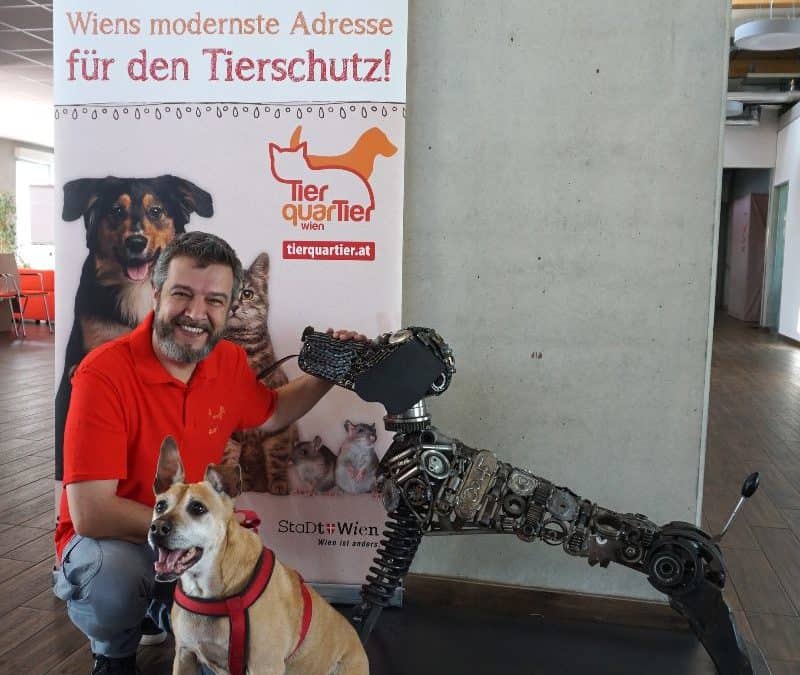 „Eisen-Strolchi“ fürs TierQuarTier Wien von der MA 48