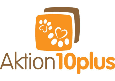 Aktion10plus: Förderung bei der Adoption älterer Hunde