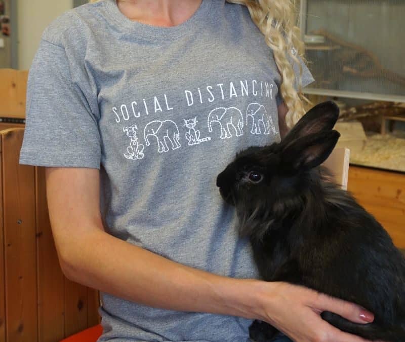 TierQuarTier Wien T-Shirts „Babyelefant, Oida!“ und „Social Distancing“