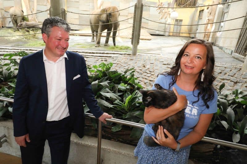 Samtpfoten aus dem TierQuarTier Wien auf Mäusejagd im Elefantenhaus im Tiergarten Schönbrunn