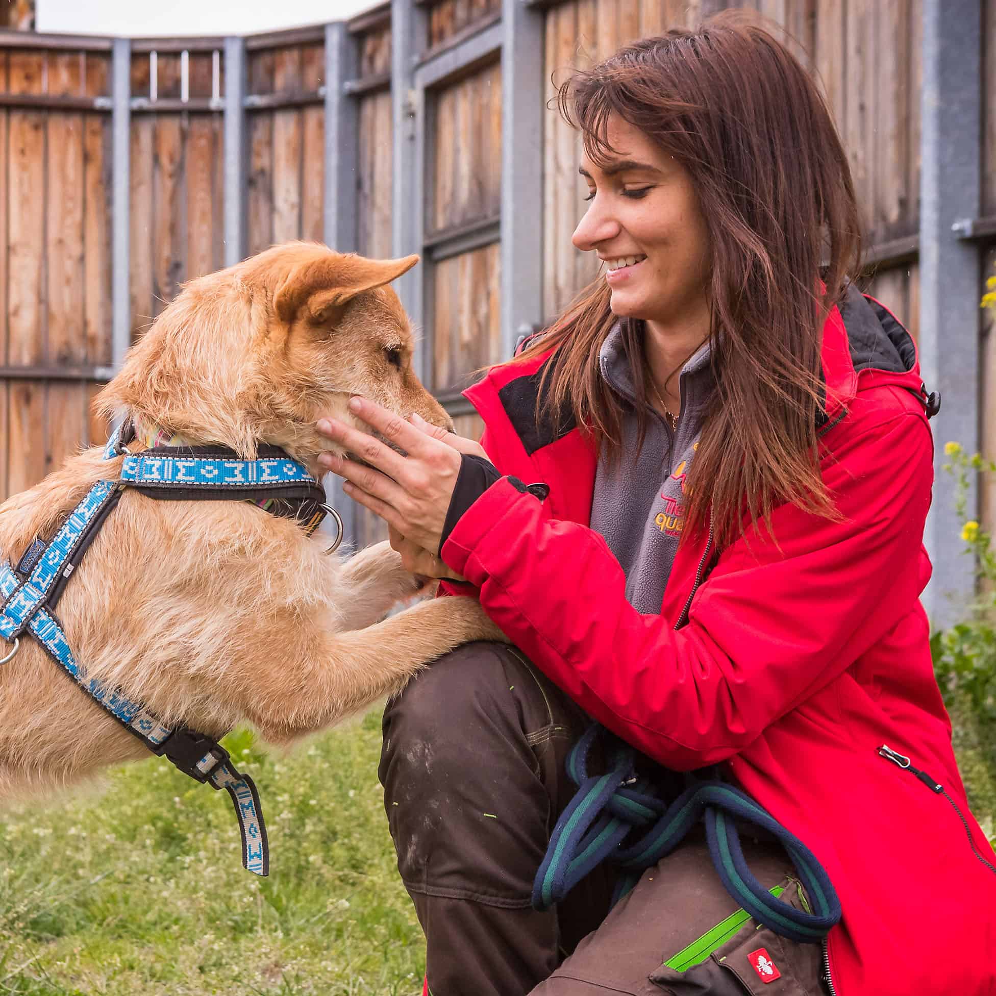 Eine Tierpflegerin sitzt mit einem Hund auf der Wiese.