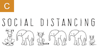 Motiv C: Social Distancing Ein Hund und eine Katze stehen nebeneinander - dazwischen befinden sich Babyelefanten.