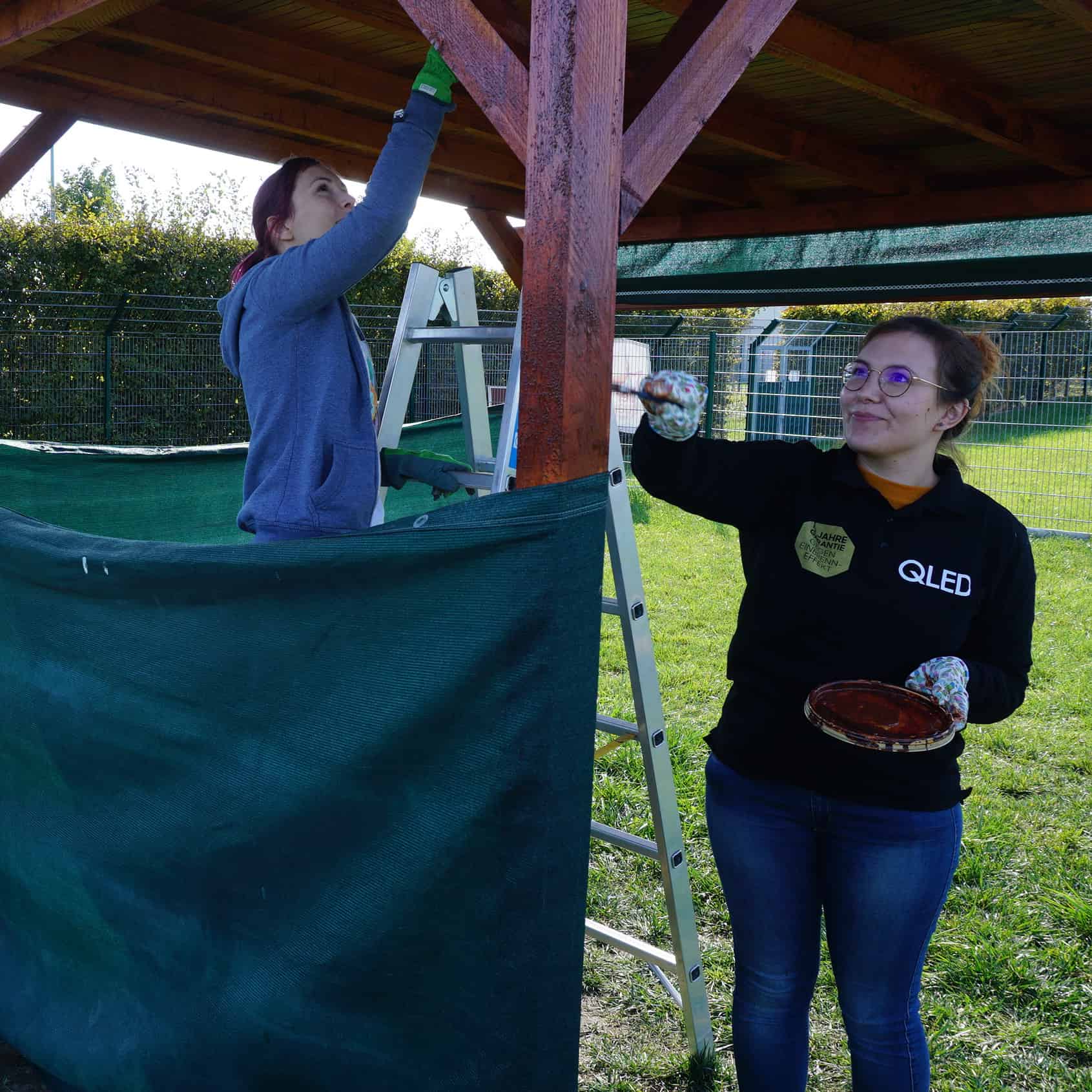 Zwei Frauen streichen eine Hundehütte.