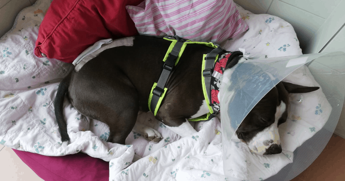 Tyson kurz nach seiner schweren Operation.
