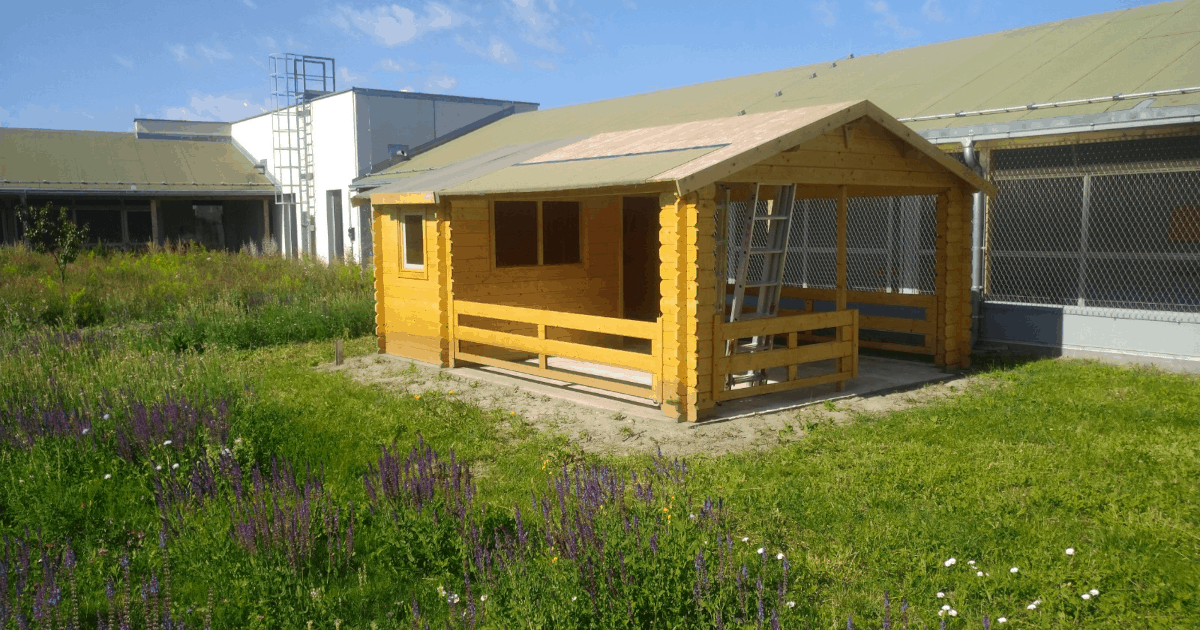 Bauphase vom Außengehege und der Behausung für unsere Kaninchen.