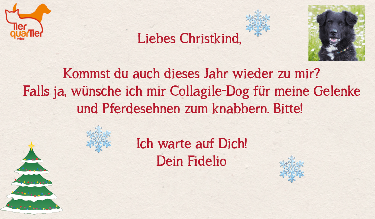 20598_Fidelio