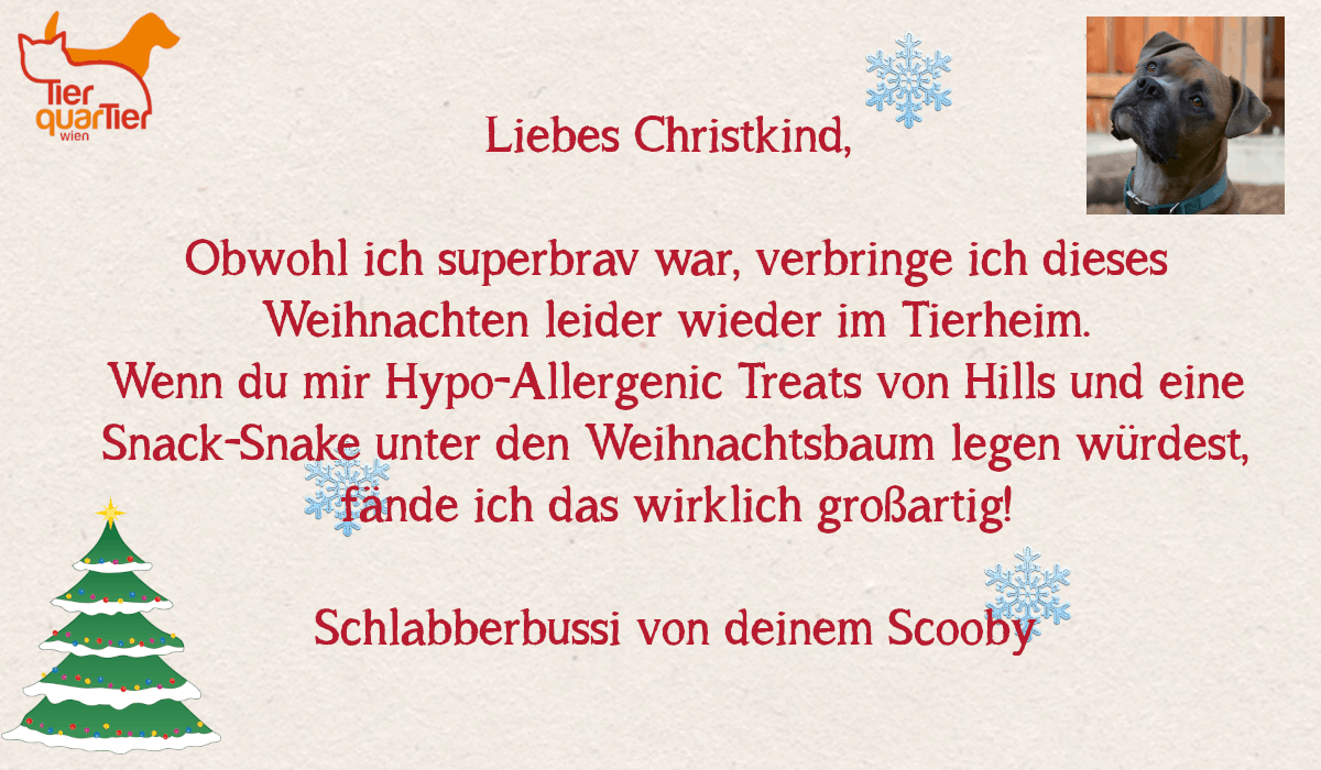 21561_Scooby