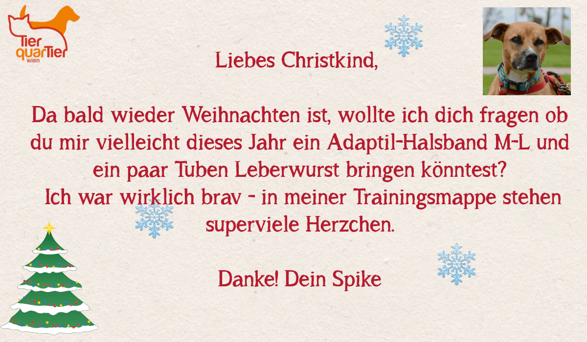 22514_Spike