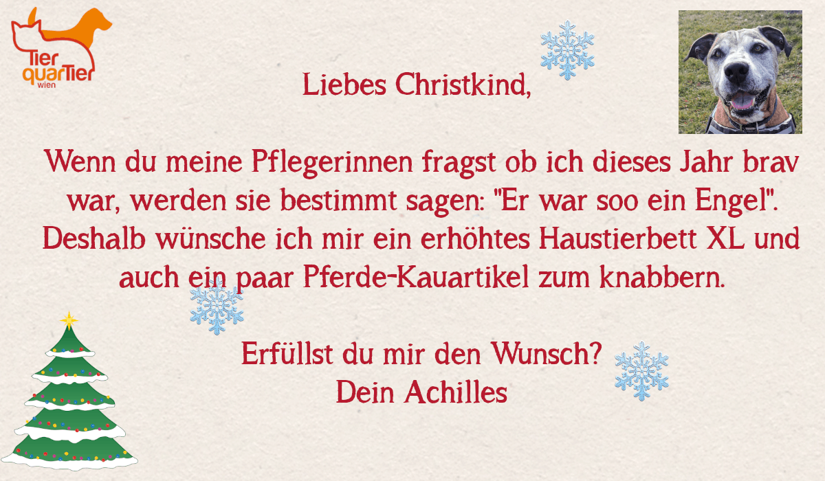 23325_Achilles