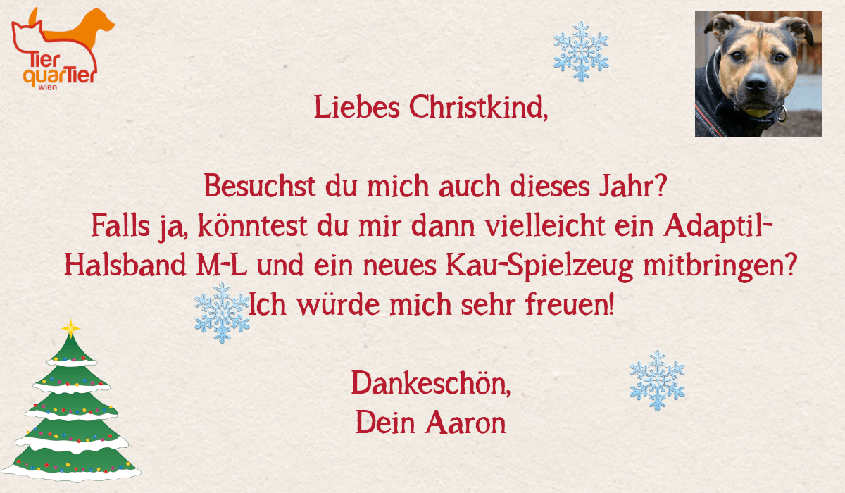23422_Aaron