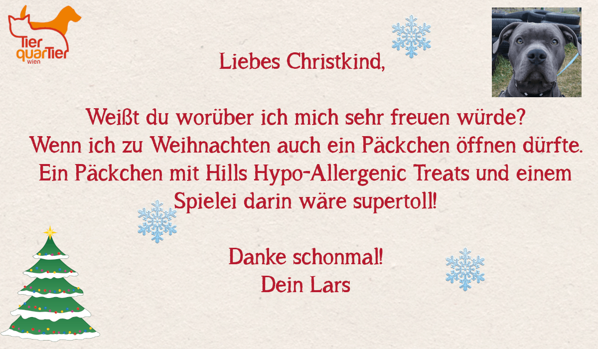 23626_Lars
