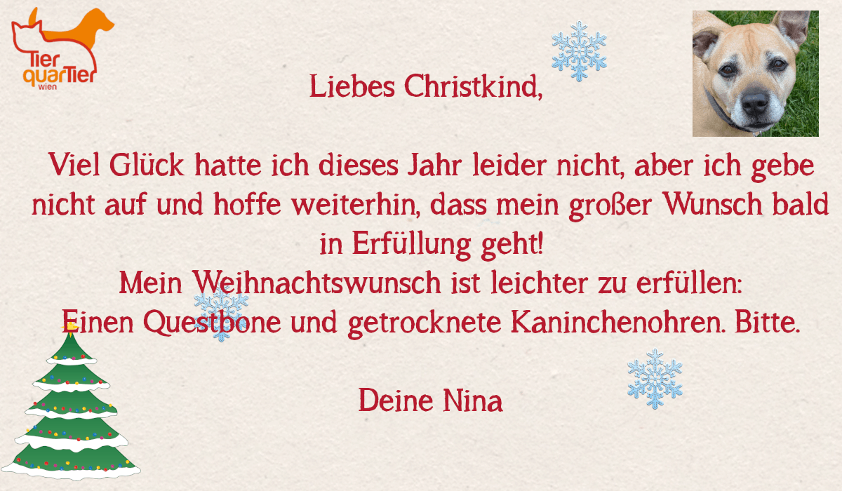 25131_Nina