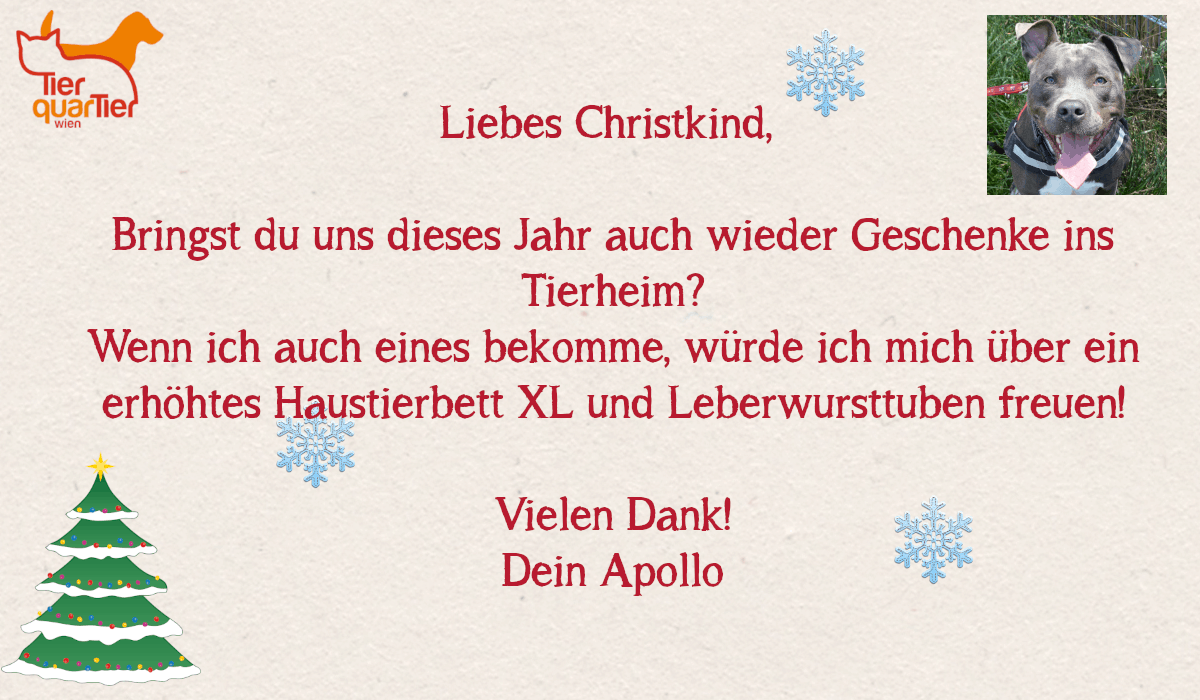 26230_Apollo