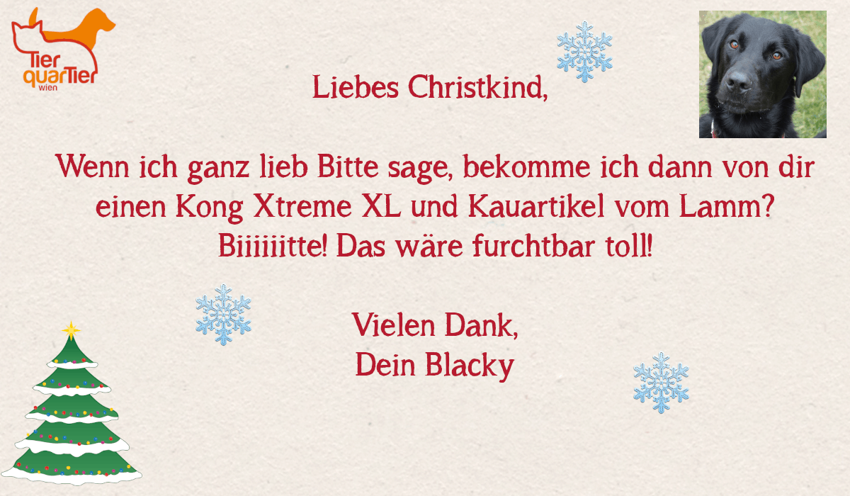 27744_Blacky
