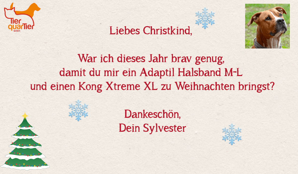 29141_Sylvester