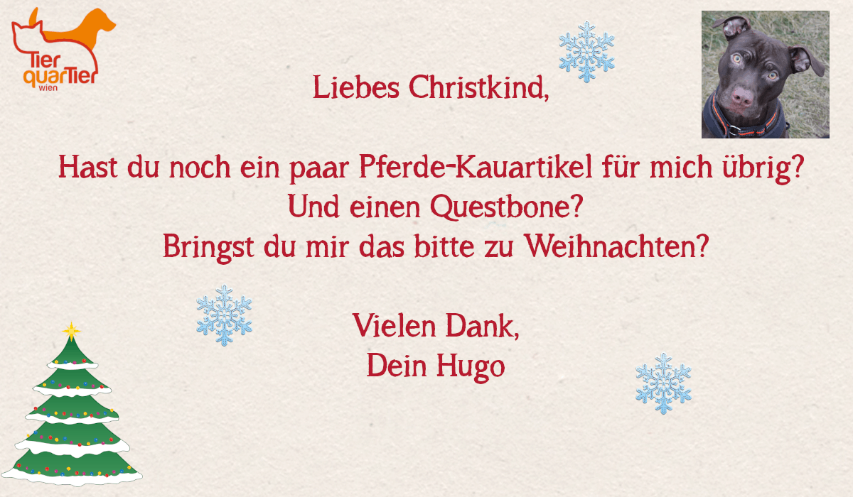 29608_Hugo