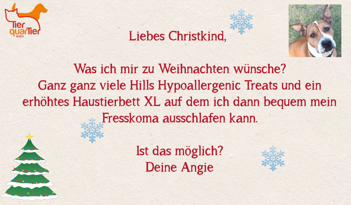29792_Angie