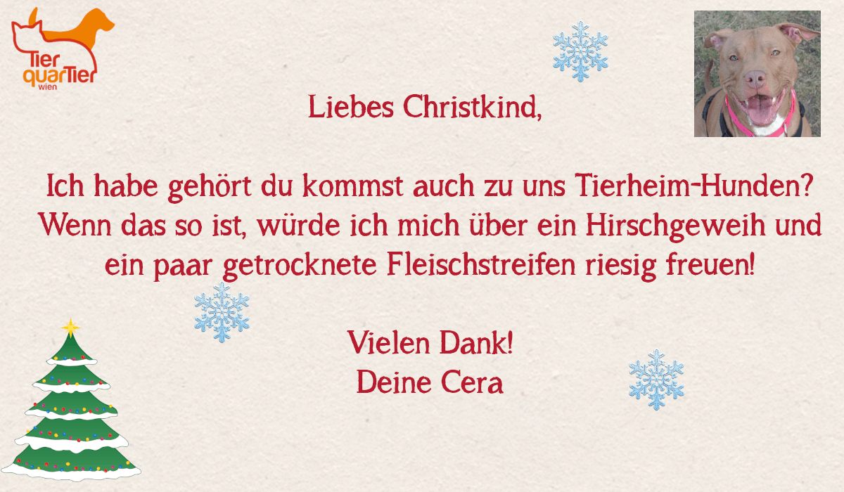 29875_Cera