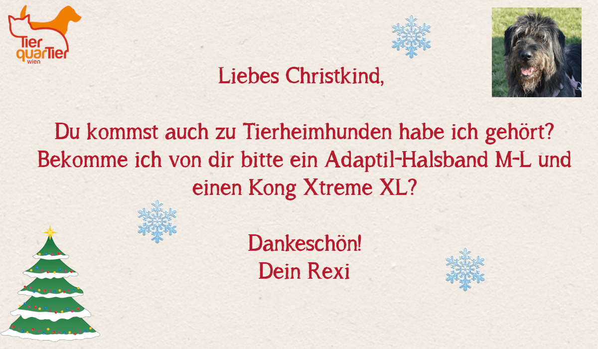 30819_Rexi