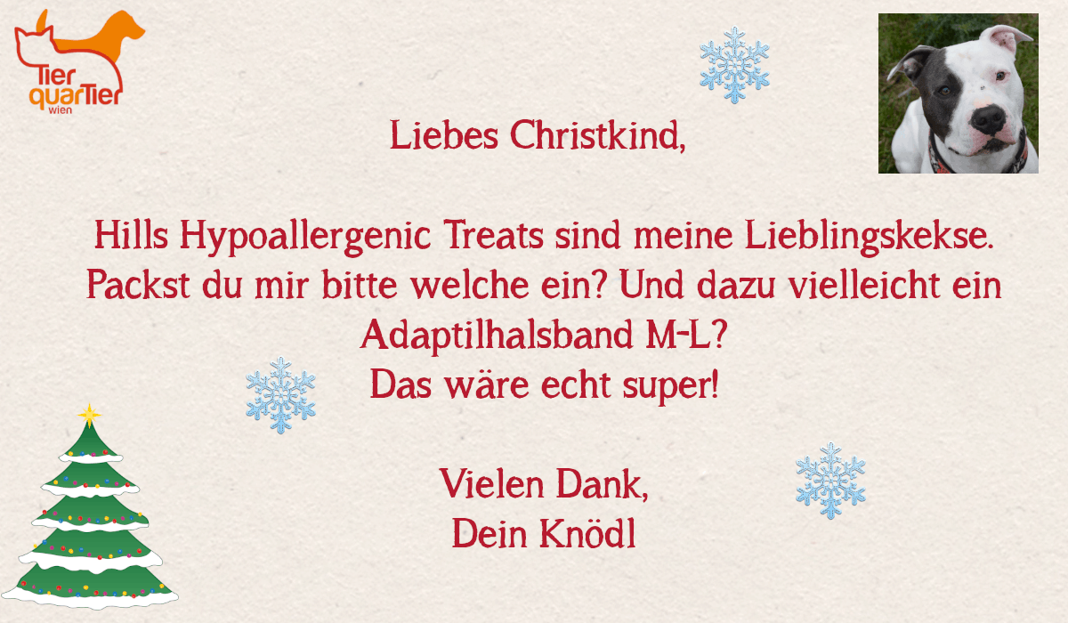 31650_Knödel