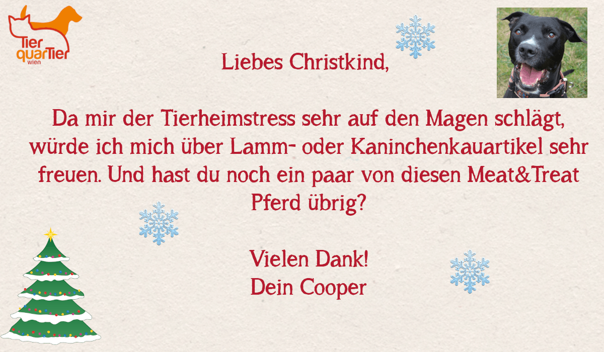 31664_Cooper