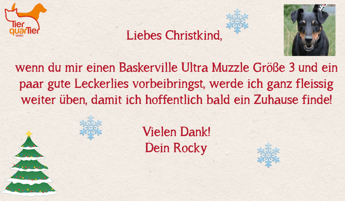 32134_Rocky