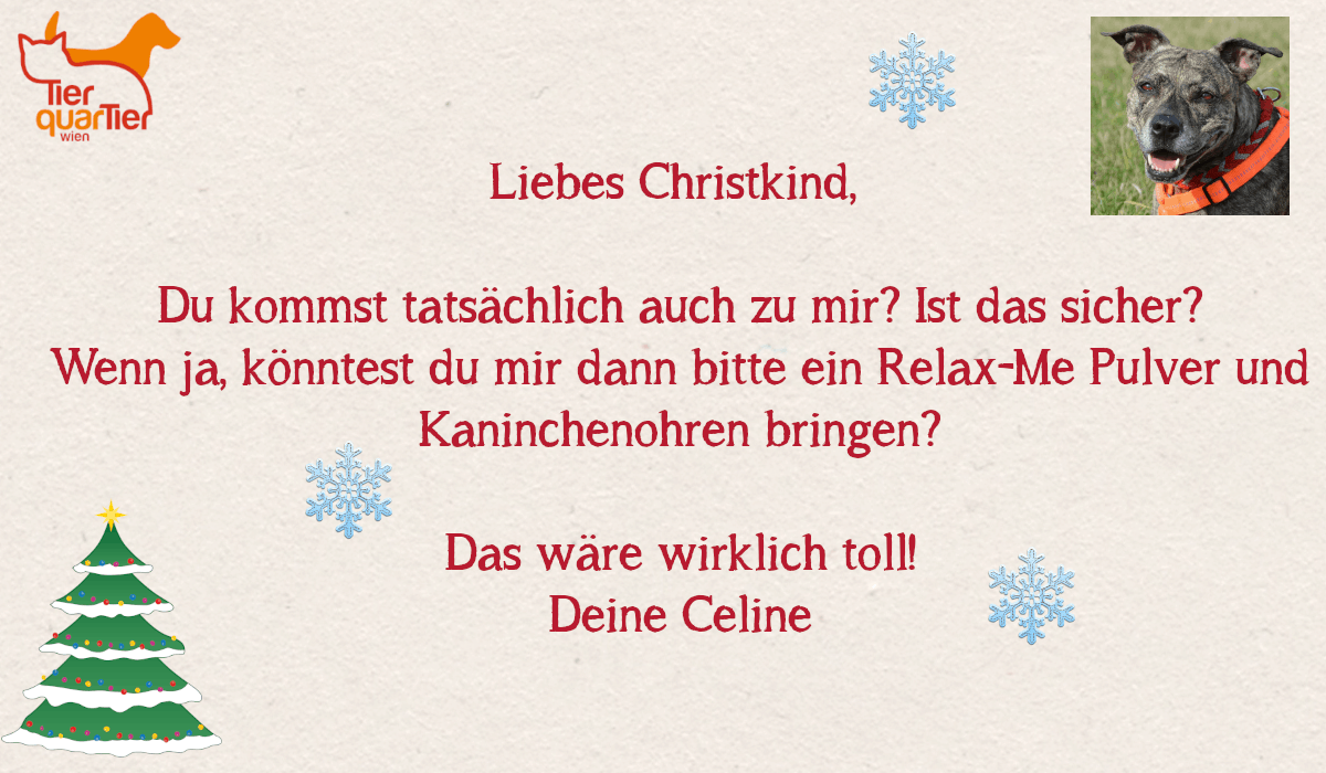 32694_Celine