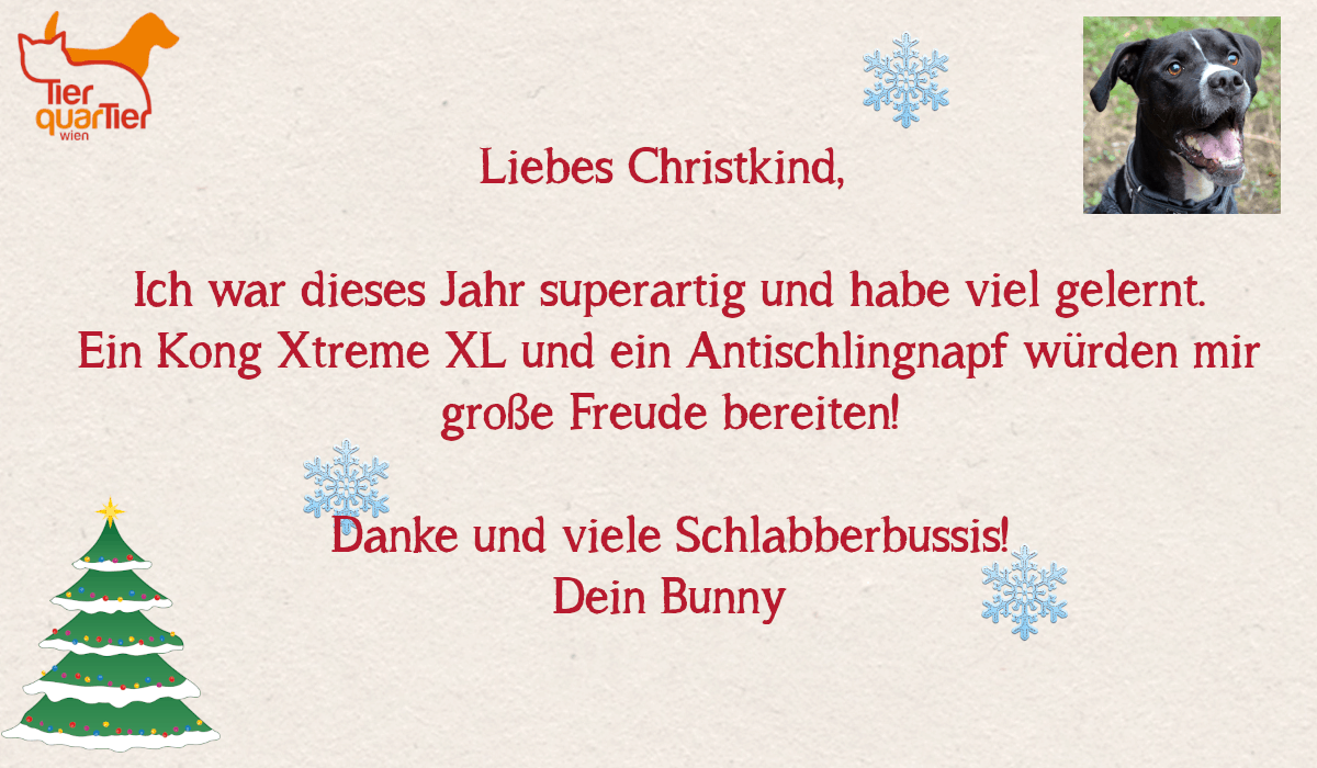 9570_Bunny