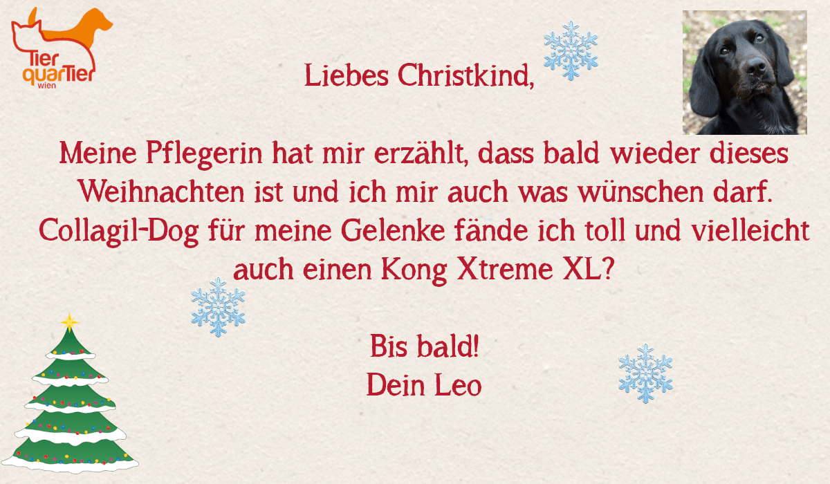 9646_Leo