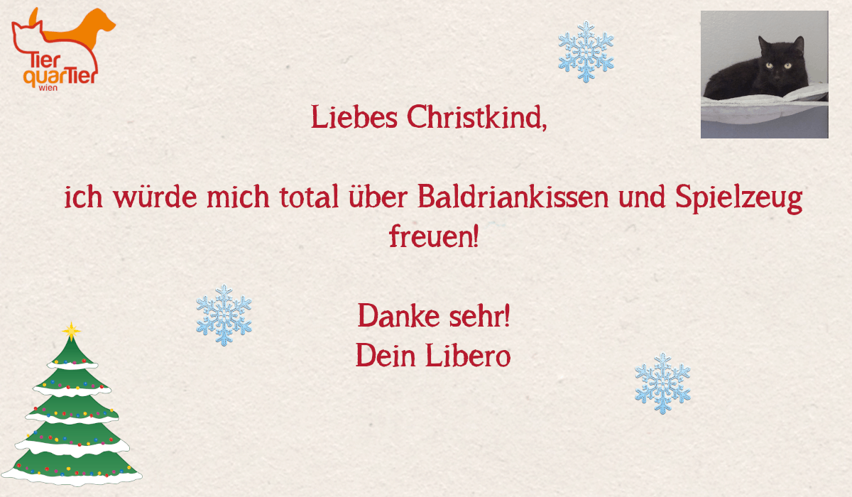 Libero