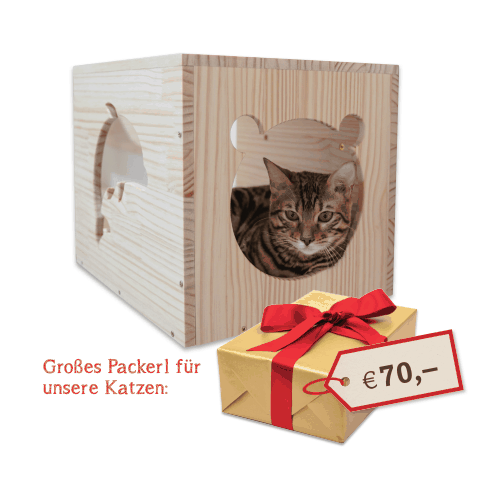 Weihnachten im Tierheim