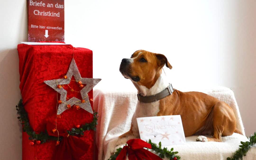 Wir wünschen frohe Weihnachten und ein schönes, neues Jahr!