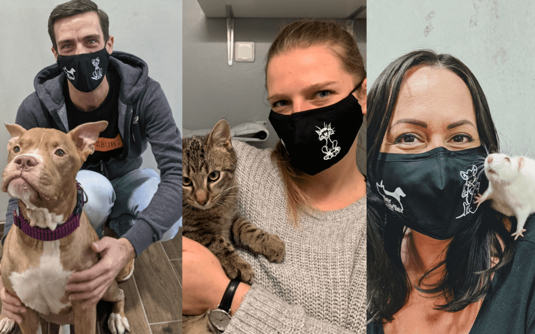 Jetzt neu: Coole TierQuarTier Wien-Masken per Versand bestellen