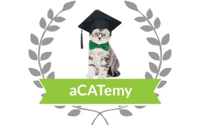 Die neue aCATemy Katzen-App von Petra Ott