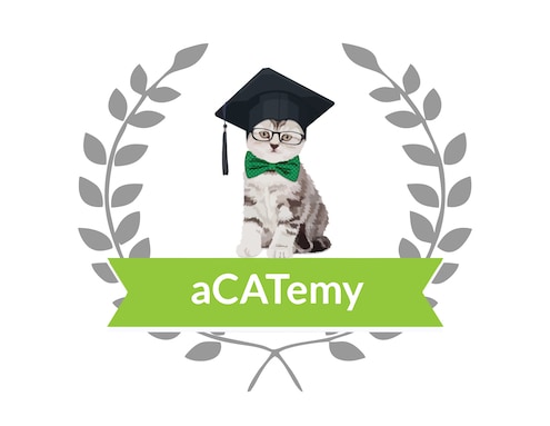 Die neue aCATemy Katzen-App von Petra Ott