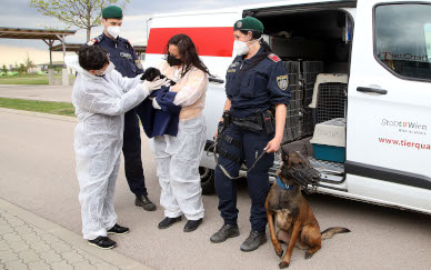 Erneut Illegaler Welpenhandel in Wien aufgedeckt!