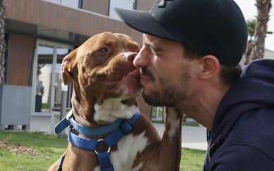 Happy End: Vom Sorgenkind zum TierQuarTier-Maskottchen