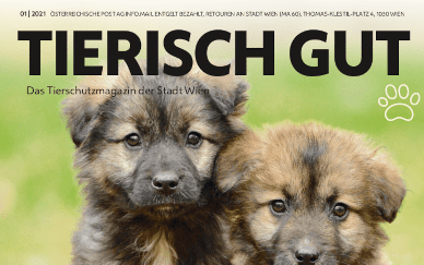 Die neue Ausgabe von „tierisch gut“ ist da!