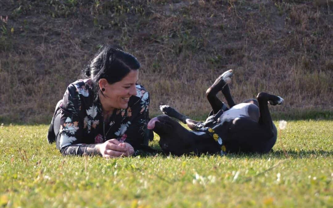 Glückliches Happy End: Fendi darf sein neues Leben genießen!