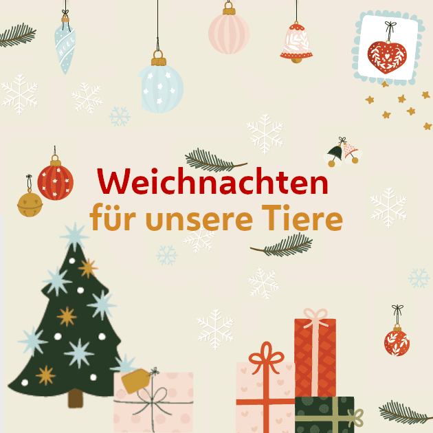 Weihnachten für unsere Tiere