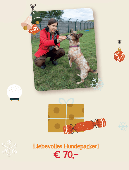 Weihnachtspackerl für Hunde-Hundepackerl Weihnachtspackerl für Hunde