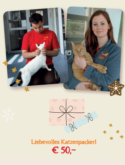 Weihnachtspackerl für Katzen Weihnachtspackerl für Katzen