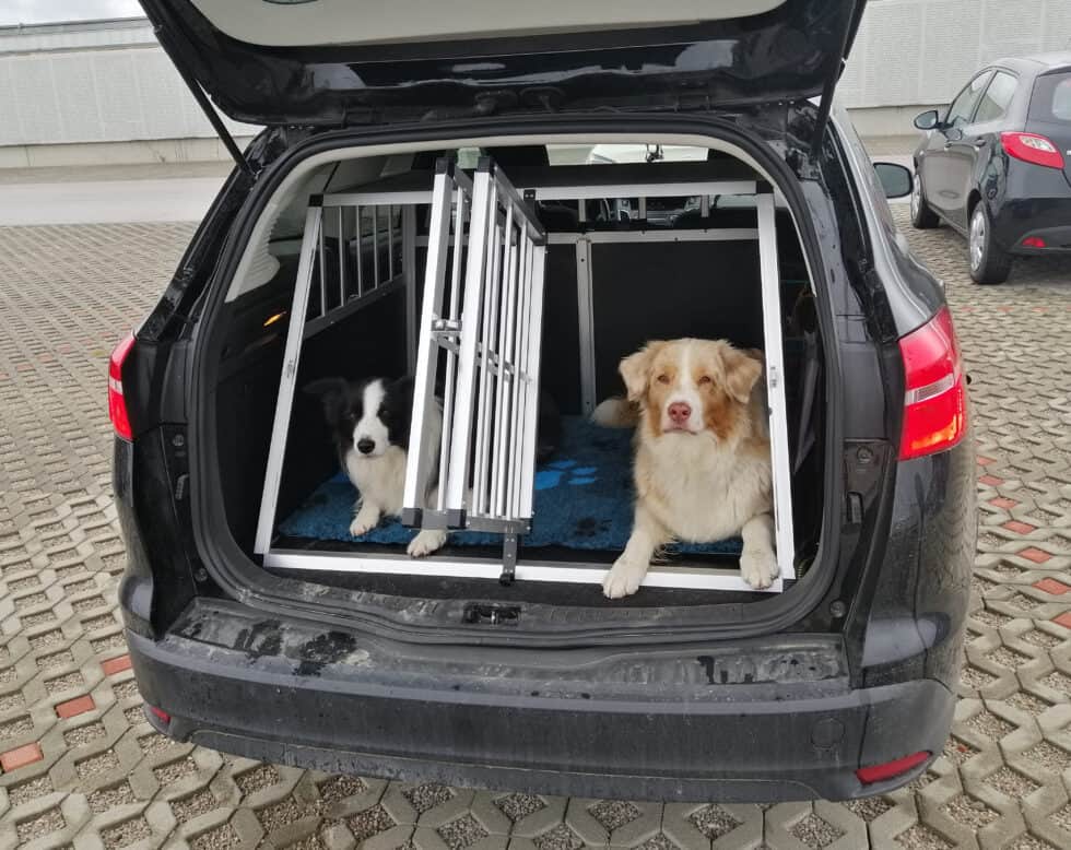 Wie Transportiert Man Einen Kühlschrank Im Auto Hunde sicher im Auto transportieren - TierQuarTier Wien