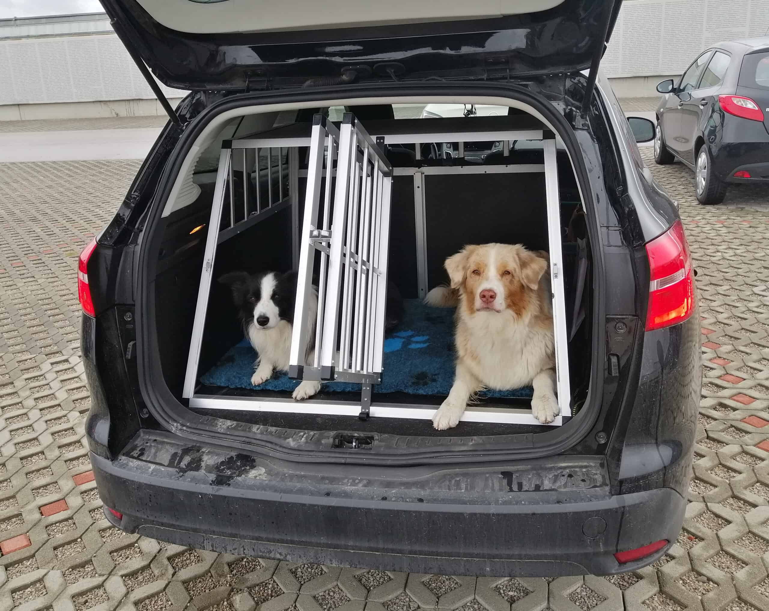 Hunde Transport Boxen für den Kofferraum, Rücksitz, Beifahrersitz