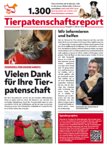 seite-1-vom-letzten-Report