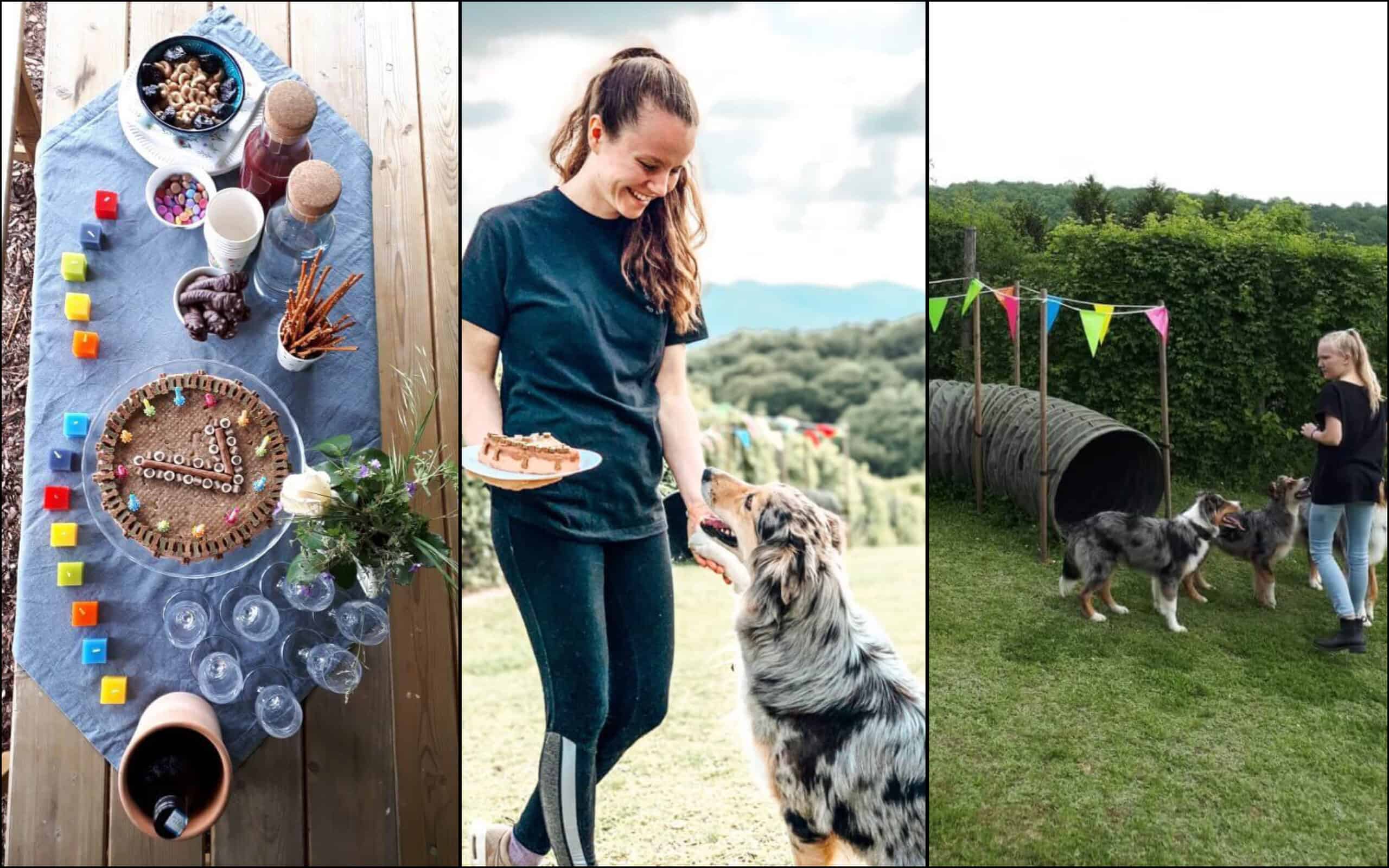Personal Dog Zone Gewinnspiel