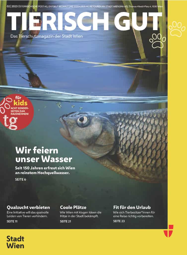 Tierisch Gut Cover Herbst 2020